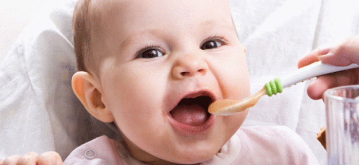 Nutrición - Alimentación por etapas