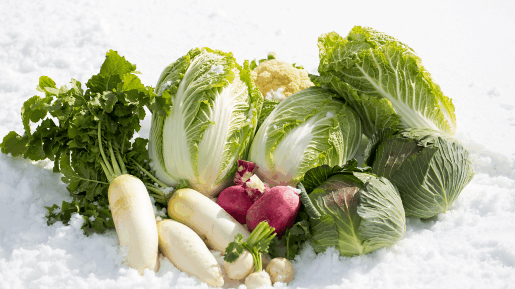 verduras de temporada en invierno