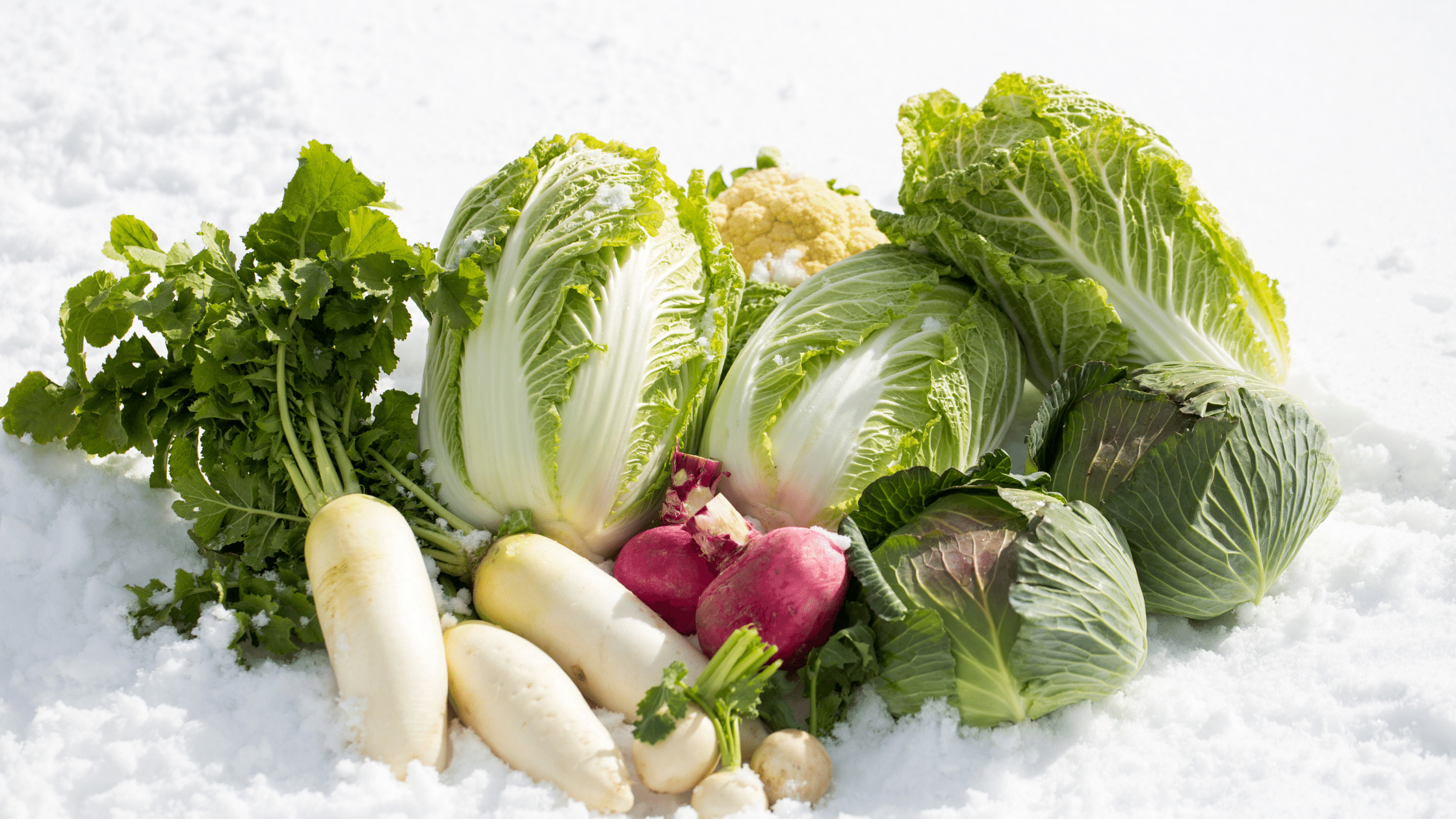 verduras de temporada en invierno