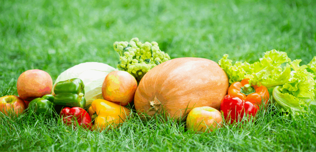 Frutas y verduras de temporada, primavera