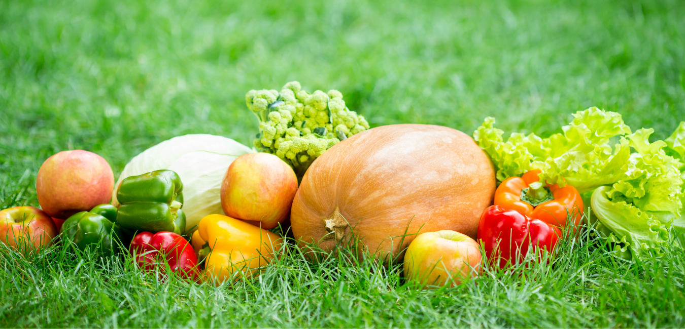 Frutas y verduras de temporada, primavera