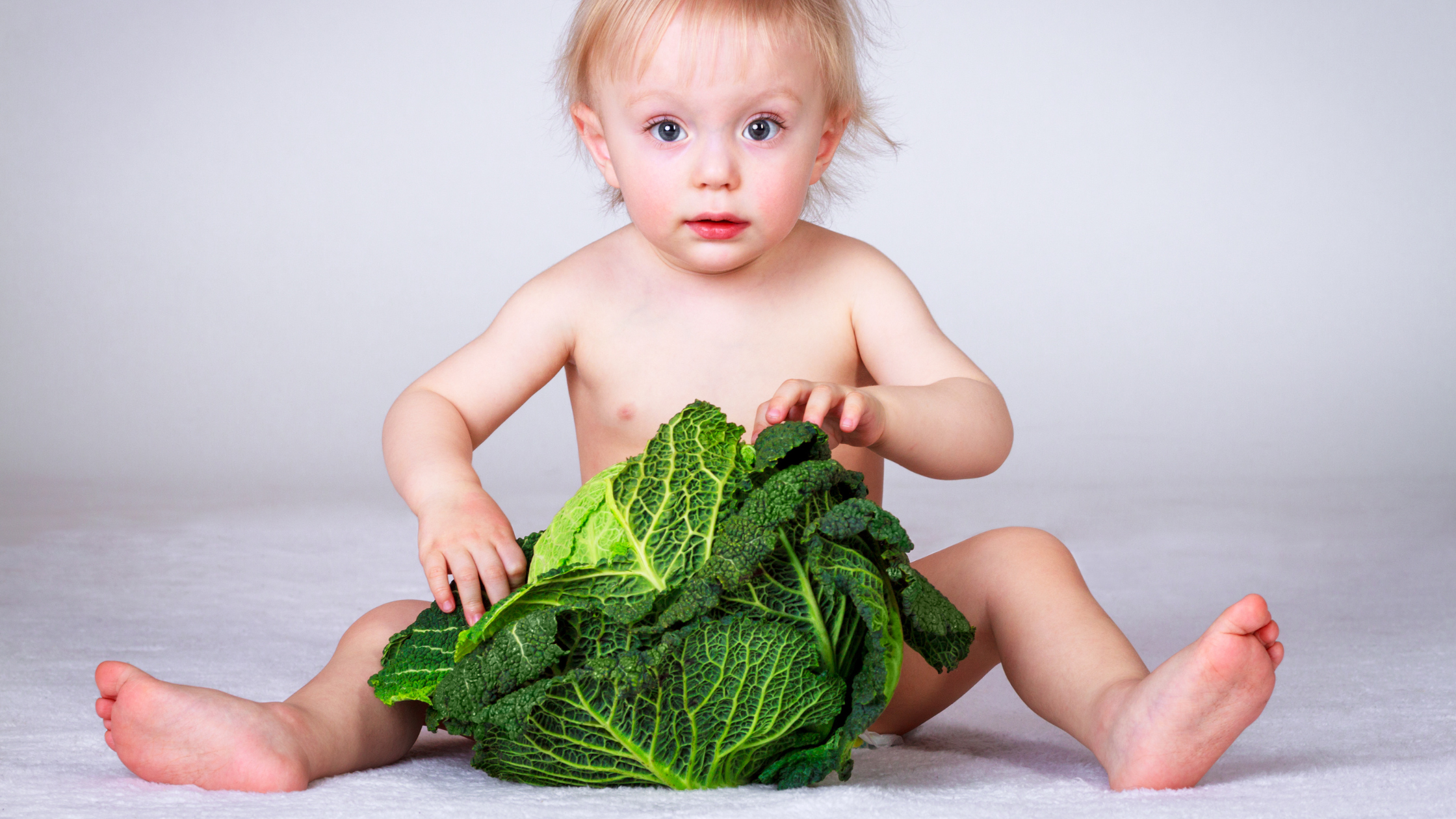 Banner nutricion coles escuelas Nemomarlin