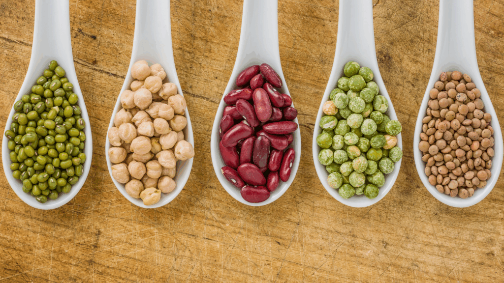 Las legumbres - escuelas infantiles Nemomarlin y Cesnut Nutrición