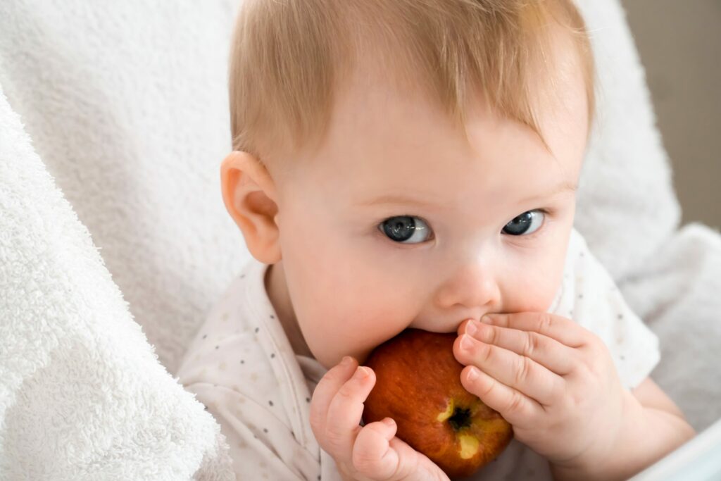 Conoce cuál son los alimentos más adecuados para los más pequeños de la casa