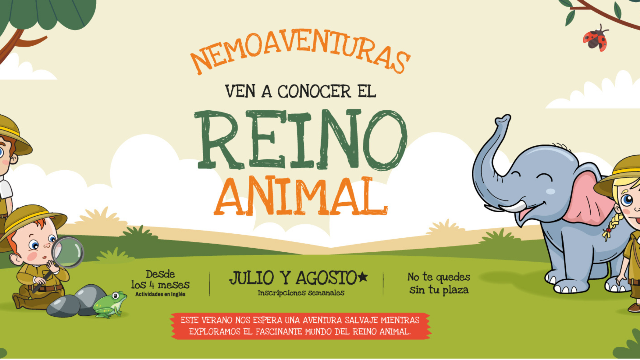 Banner Escuela de verano 2025 El Reino Animal_ Escuelas Nemomarlin