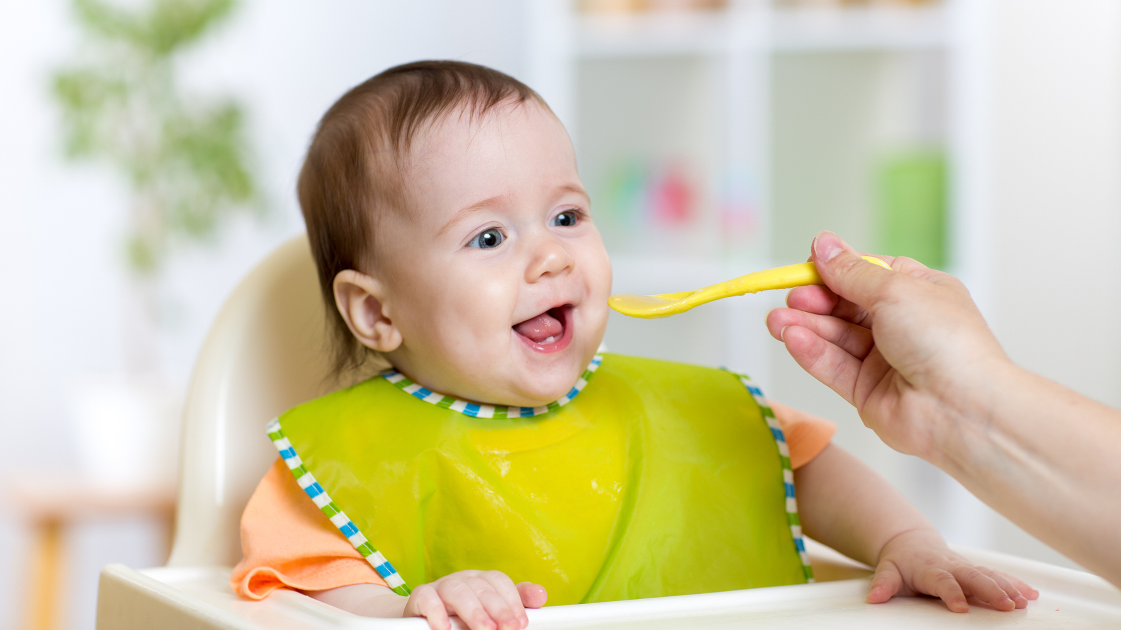 Apoyo para una transición suave del pecho o biberón a la alimentación sólida